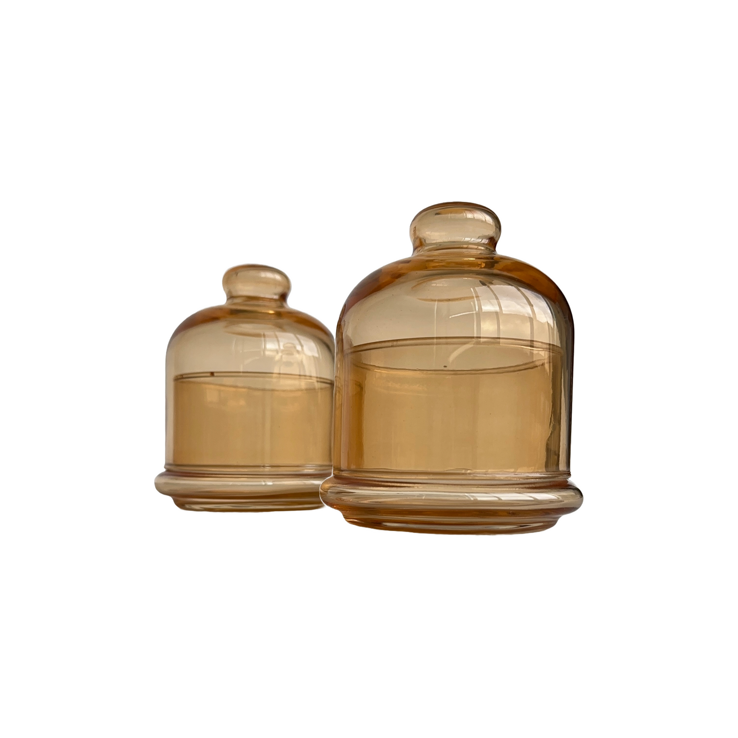 Gold Glass sugar box with glass lid (Set of 2)